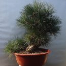 해송4로 이미지