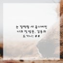 더치과의원 이미지