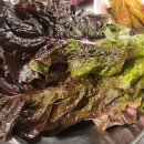 소문난껍데기집 이미지