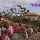 양평군노인요양원 | {경기도, 광주, 요양원, 요양센터, 추천!} 양평시니어센터 양평시니어센터, 여유로운 노후를 위한 선택