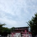 아날로그데이 | 대구 경북 캠핑장 추천 군위 아날로그데이