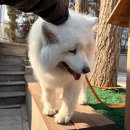 수정-93 | 93. 할 건 해야지 (2/20-28)