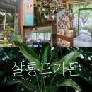 살롱드가든
