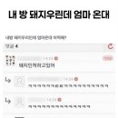 돼지우리 이미지