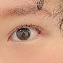 르다르뷰티 | 대전속눈썹펌잘하는 곳, 르다르뷰티 / 대전탄방동속눈썹펌, 대전둔산동속눈썹펌