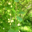 미리농장 이미지