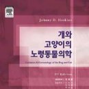 다대동물병원 네이버블로그