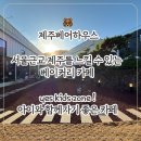 제주 힐링하우스 | 경기도 광주 신현동 제주베어하우스 후기 🐻_ 제주 감성을 그대로 담은 힐링 베이커리 카페 베이글 맛집...