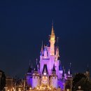 주식회사 씨앤드 | 일본 도쿄 디즈니랜드 Tokyo Disneyland 오픈런에 마감까지 | 캐릭터 | 어트랙션 | 퍼레이드 후기