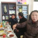 향촌원예사 네이버블로그