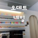 [#제주가게] 네일샵 ‘오데트네일’