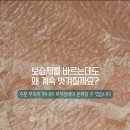 보습제를 발라도 왜 계속 벗겨질까요? [자이트쉴트 제품 후기]