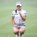 그린(61) 이미지