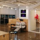 이동공설운동장(천연잔디) | 서울과 가까운 하남 천연잔디 운동장 애견카페 N번째 다녀온 후기 [펖파크]