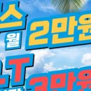 수원-0781 네이버블로그