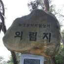 풍기인삼직매장