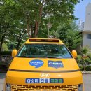 용인대 하늘채 태권도장 이미지