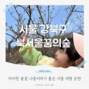 씨알어린이공원 | 북서울꿈의숲 아기와 봄꽃 나들이 가기좋은 곳 추천 주차 정보