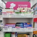 별님약국 이미지