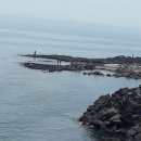 닭머르해안길 이미지