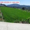 낙동면 비룡리 이미지