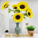 카네기공인중개사사무소 이미지