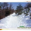 용평여행-백두대간 선자령 이미지
