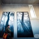 간송도로변 이미지