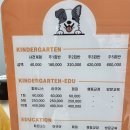 독가짐 네이버블로그