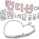 영성식당 이미지