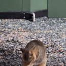 마켓팔봉 이미지