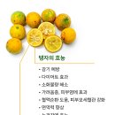 탱자