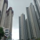 굴다리청과
