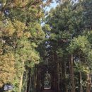 힐링다도 이미지