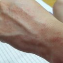 피부짱화장품 이미지