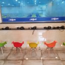 스윔월드 이미지