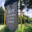 웅지승마센터 | 제주도 아이 승마체험 웅지 승마센터