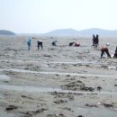 노을지는갯마을 이미지