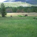 공원수퍼 이미지