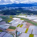 성주참외원예농협 이미지