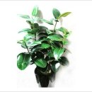 삼보철물상사 이미지