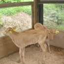 선경축산 이미지