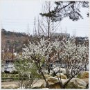 장안사 입구 | 도토리 로스터스, 장안사 입구에서 찾은 조용한 시간