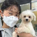 도그온리 | 김포 키스더도그 / 아르테미스 아카데미 4개월차 후기