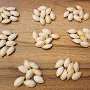 토종단호박.4/25발송 이미지