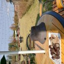 이 무지막지한 K-love에..재미교포에 감사..그리고 이젠 이미지 관리해야.. 이미지