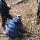 대상농장 이미지