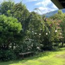 산청바이브 이미지