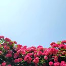 서울묵현초등학교