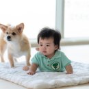 시오꾸꾸 이미지